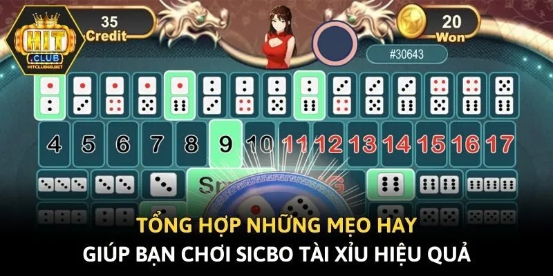 Tổng hợp những mẹo hay giúp bạn chơi Sicbo Tài Xỉu hiệu quả